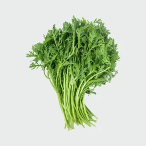 Organic Coriander