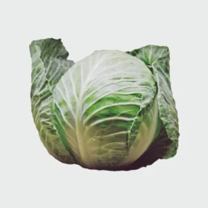 Organic Green Cabbage